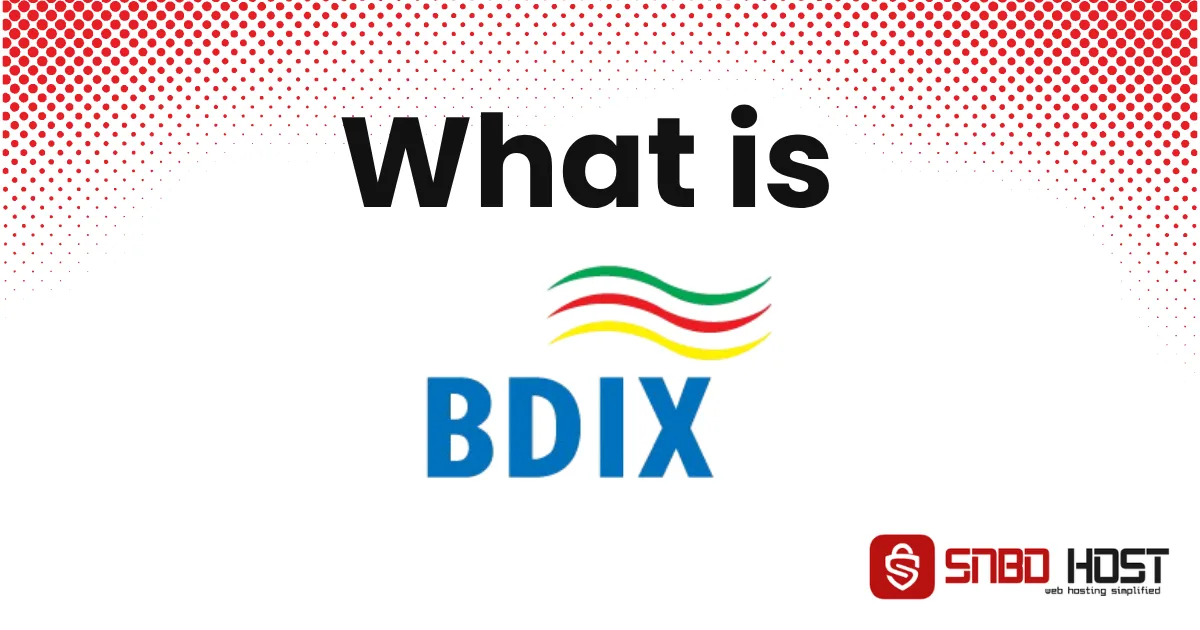 What is BDIX?